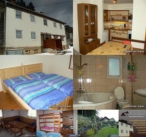 Apartment Lipno [Enlarge - new window]