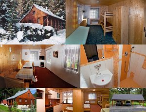 Cottage Pod Lesem [Enlarge - new window]