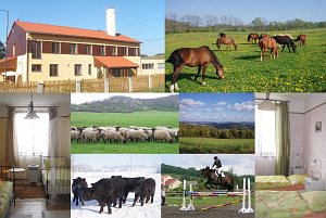 Ekofarma Natural Agro [Enlarge - new window]