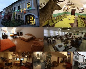 Guest house a reštaurácia U Jeleňa [Enlarge - new window]