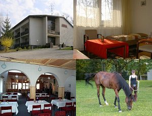 Recreation center Anna [Enlarge - new window]