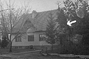 Klubovna Brontosaurus [Enlarge - new window]