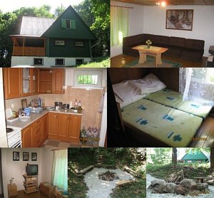 Cottage Dudince - Lesy SR [Enlarge - new window]