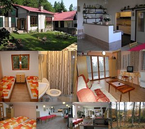 Cottage Nad Lípou [Enlarge - new window]