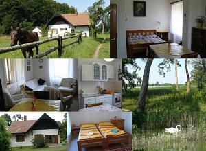 Holiday cottage u Prostředního rybníka [Enlarge - new window]