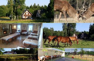 Farm Hory [Enlarge - new window]