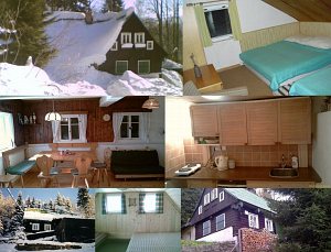Holiday cottage Pod lesem [Enlarge - new window]