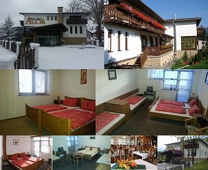 Guest house Adam [Enlarge - new window]