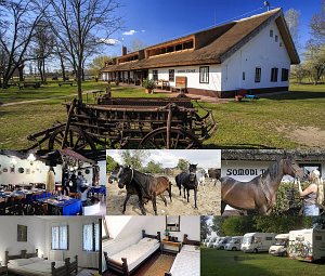 Farm Somodi Tanya [Enlarge - new window]