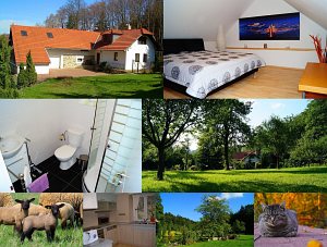 Holiday cottage Zavadilovy paseky [Enlarge - new window]