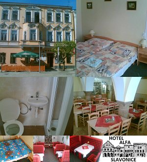 Hotel Alfa [Enlarge - new window]