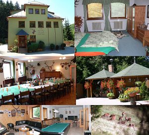 Cottage Zlatý jeleň - Golden Deer [Enlarge - new window]