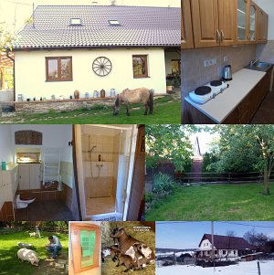 Minifarma Falbgery [Enlarge - new window]